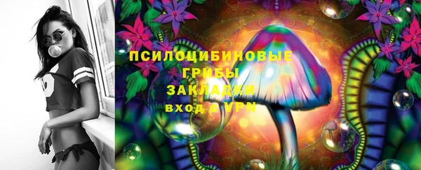 прущий лед Надым