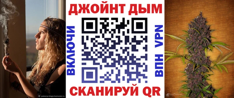 Канабис семена  Чадан 
